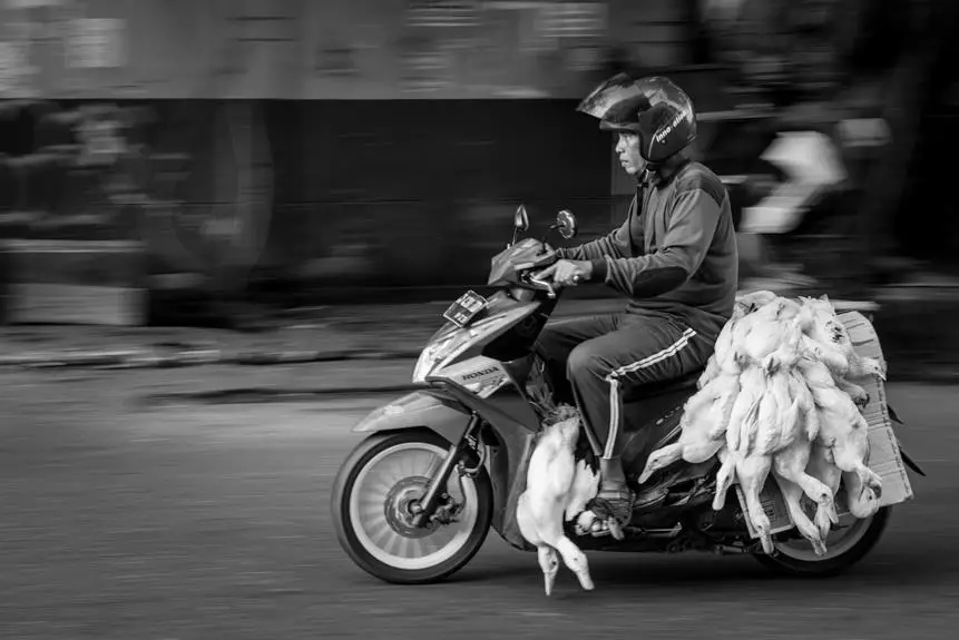 exploring philippines by bicycle