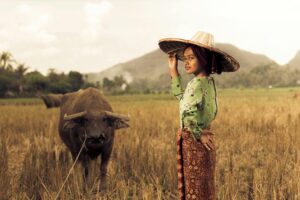 THE SIGNIFICANCE OF THE CARABAO IN FILIPINO CULTURE AND AGRICULTURE visual data 2